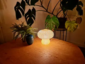 Mushroom lamp