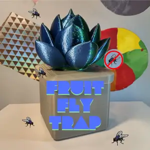 Succulent Fruit fly trap