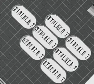 Stalker 2 keychain