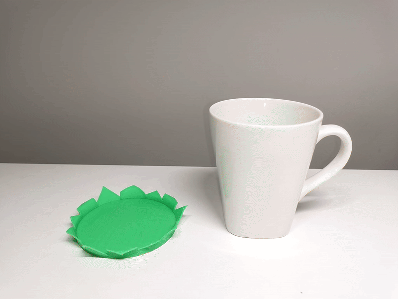 Hazel Leaf Coaster