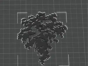 wolke