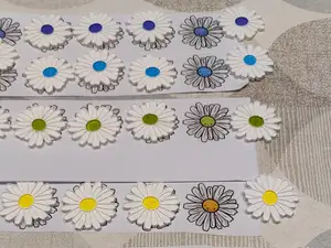 daisy flowers