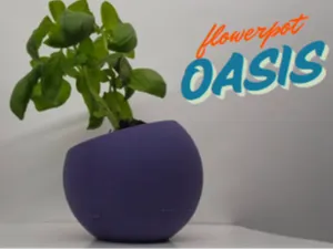 Oasis