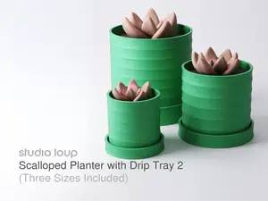 Scalloped Planter with Drip Tray Type 2 (3 Sizes)