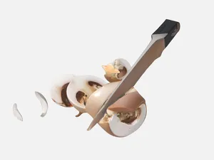Mushroom with knife stuck in it