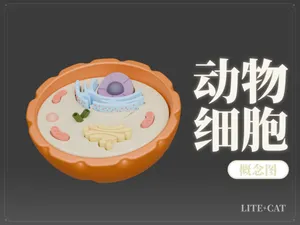 动物细胞的3D模型