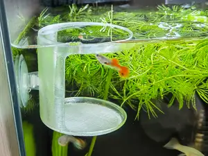 鱼缸喂食器