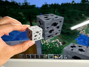 我的世界 Minecraft 煤矿石方块,无竹屎,简易安装