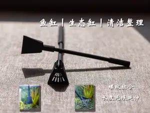 鱼缸丨生态缸丨清理整理工具