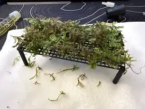 Moss Table 
