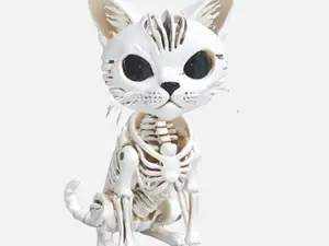 Katzen Skelett