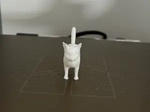Cute mini cat
