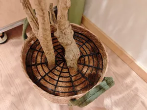 防猫抓花盆盖子-可裁剪