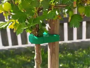 Young tree support