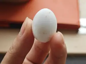 芦丁鸡蛋鸽子蛋鸡蛋假蛋引产蛋