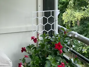 Climbing Plant Trellis | parametric