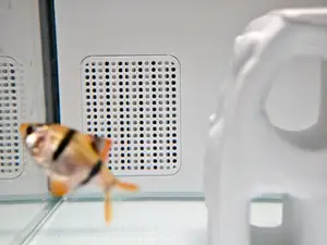 小米鱼缸二代下进水口挡鱼虾过滤网1.5mm孔径