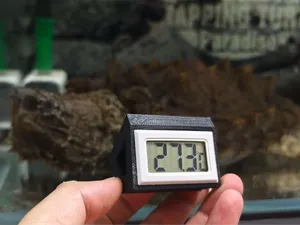 鱼缸温度计支架