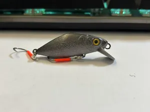 鳑鲏路亚饵