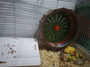 仓鼠静音跑轮