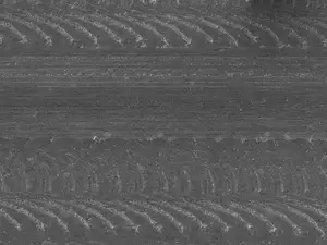 v-weis-v01
