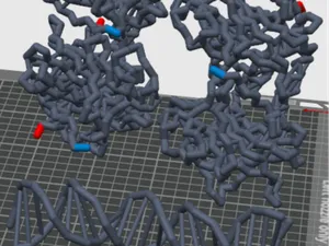 P53 tumor suppressor protein human backbone 3ts8