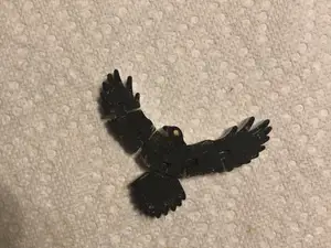 Midnight bird flexi