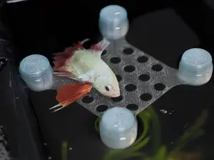 斗鱼床