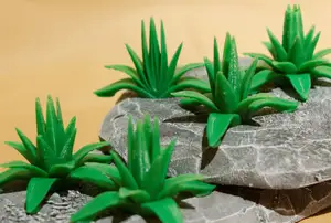Tabletop plant: 5 Agaves Set (number of leaves)