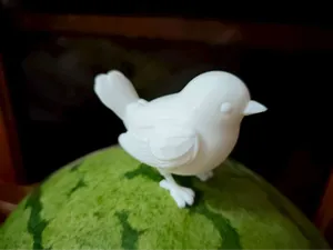 小鸟