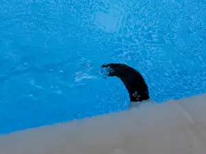 90° Nozzle for intex pool ultra frame
