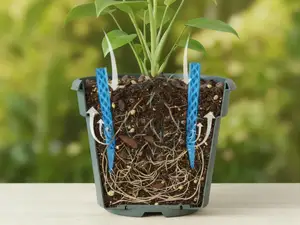 园艺花盆土壤透气柱通风管透气管防闷根烂根