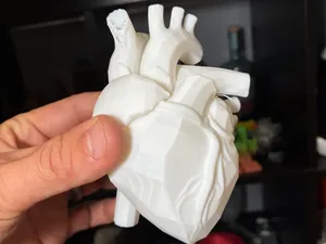 CyberCore Heart – Anatomical Tech Fusion Model
