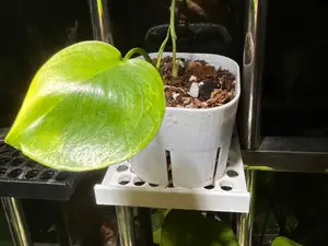 窗格90mm方形防盗网花盆架