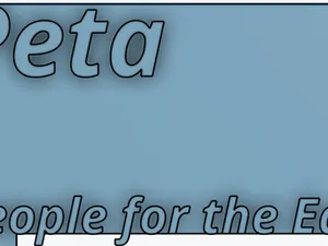 Peta