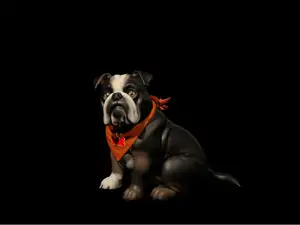 dog