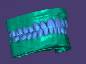 Jaw with teeth for learning