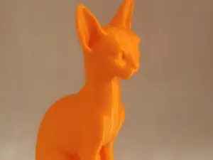 sphynx cat