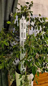 Moss Tower ( Moss Pole)