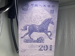 2026马年纪念钞浮雕（多色/单色）