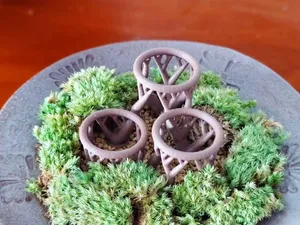空气凤梨支架, 有机生长版,组合展示架
