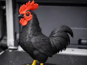 black cock