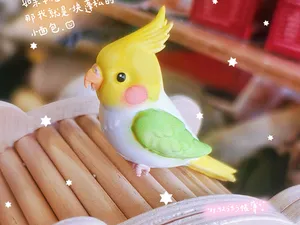 玄凤鹦鹉小鸟