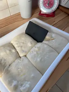 dough scraper / Teihgschaber