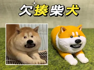 表情包系列—欠揍柴犬（多色、单色）