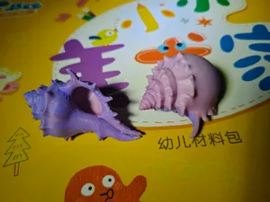 海螺贝壳