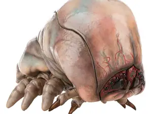 Starship Troopers - Brainbug 3D Model