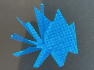 fan 