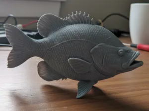 Crappie – Standalone Fish Figure