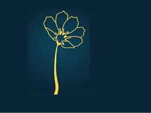 桑格花书签 拉萨市花